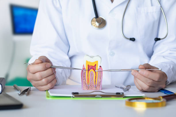 Best Emergency Tooth Extraction in Lmdale, PA